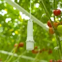 CO2 en temp sensor bij tomaten.webp