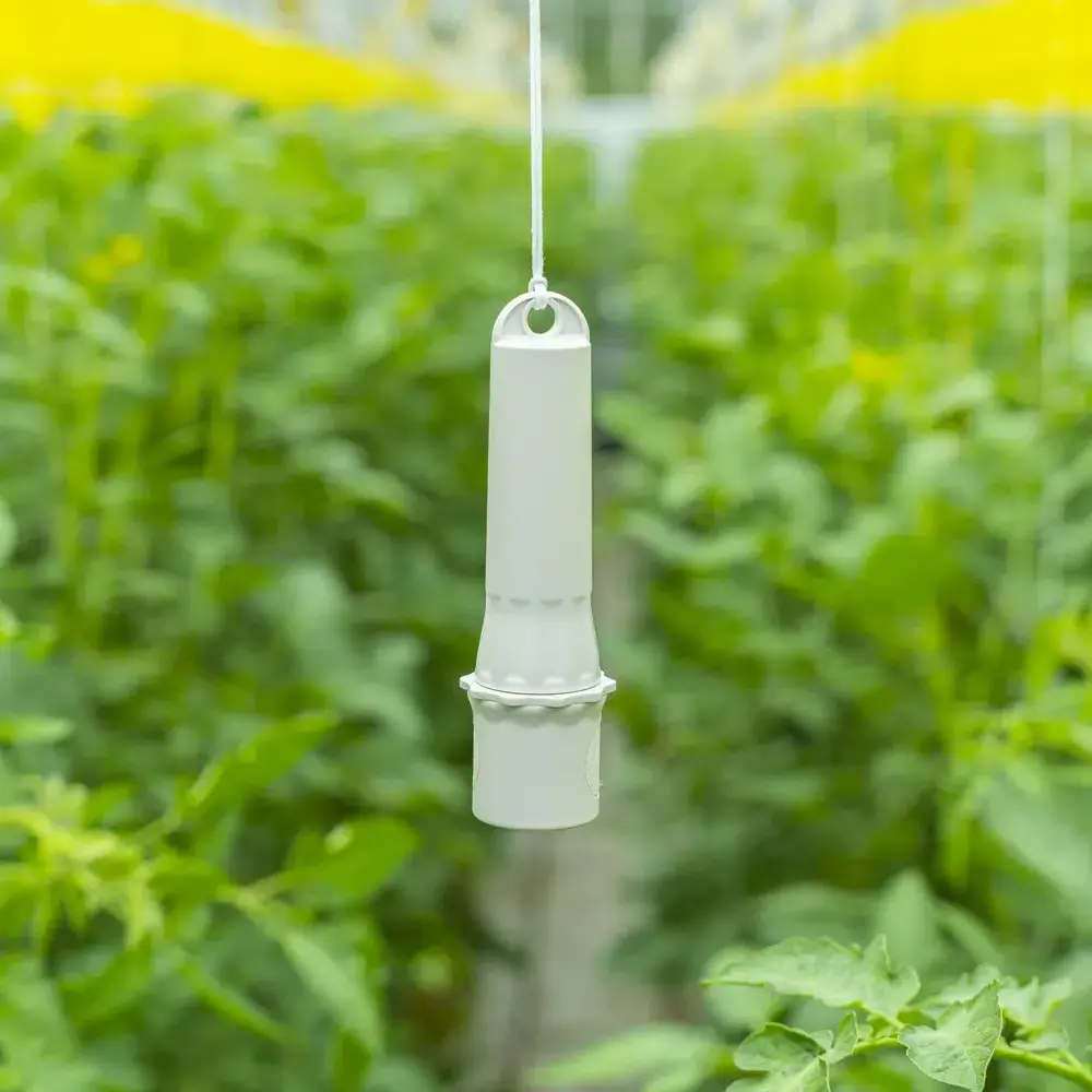 CO2 en temp sensor bij planten.webp